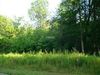 819 Davis Rd photo